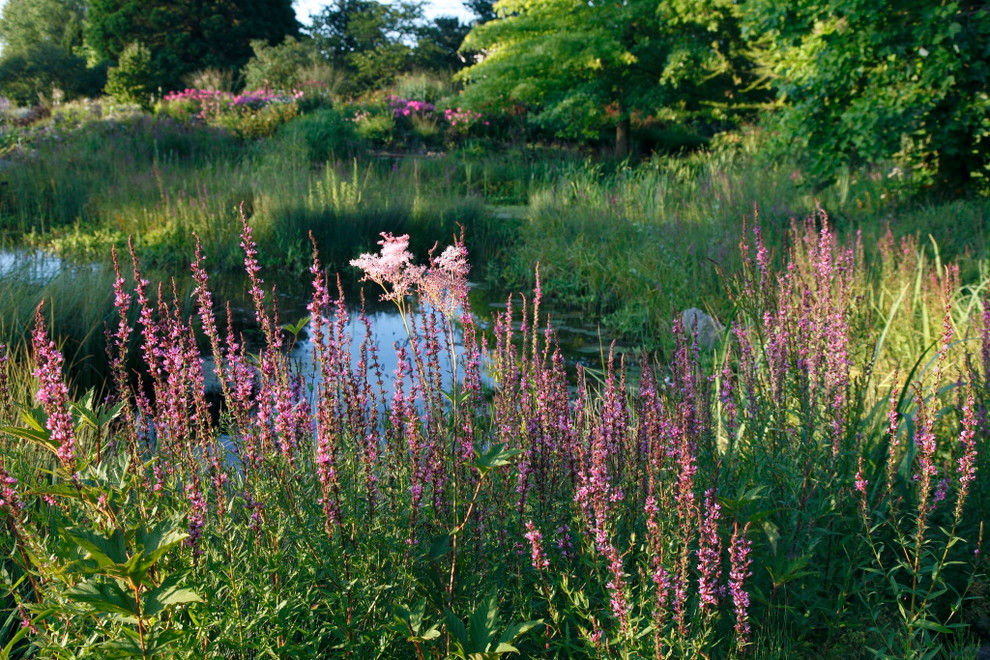 Landhausstil Garten in Stuttgart
