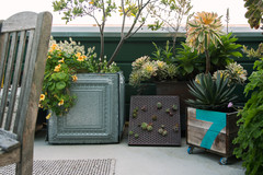 10 Repurposed Containers for a One-of-a-Kind Potted Garden