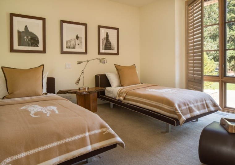 Inspiration for a transitional bedroom remodel in Phoenix