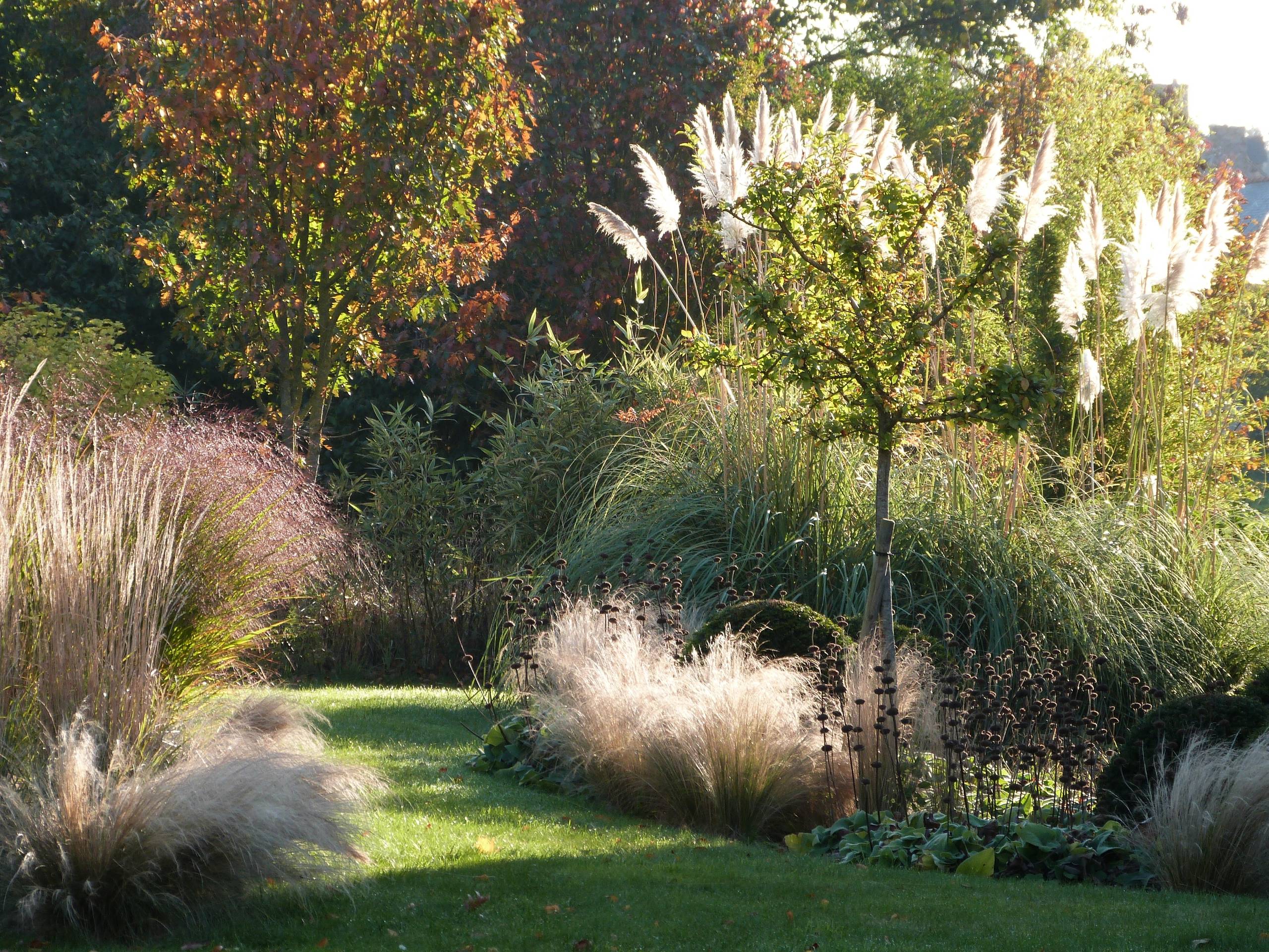 11 der schnsten winterharten Grser fr den Garten
