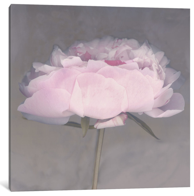 "Jolie" Wrapped Canvas Art Print, 26x26x0.75