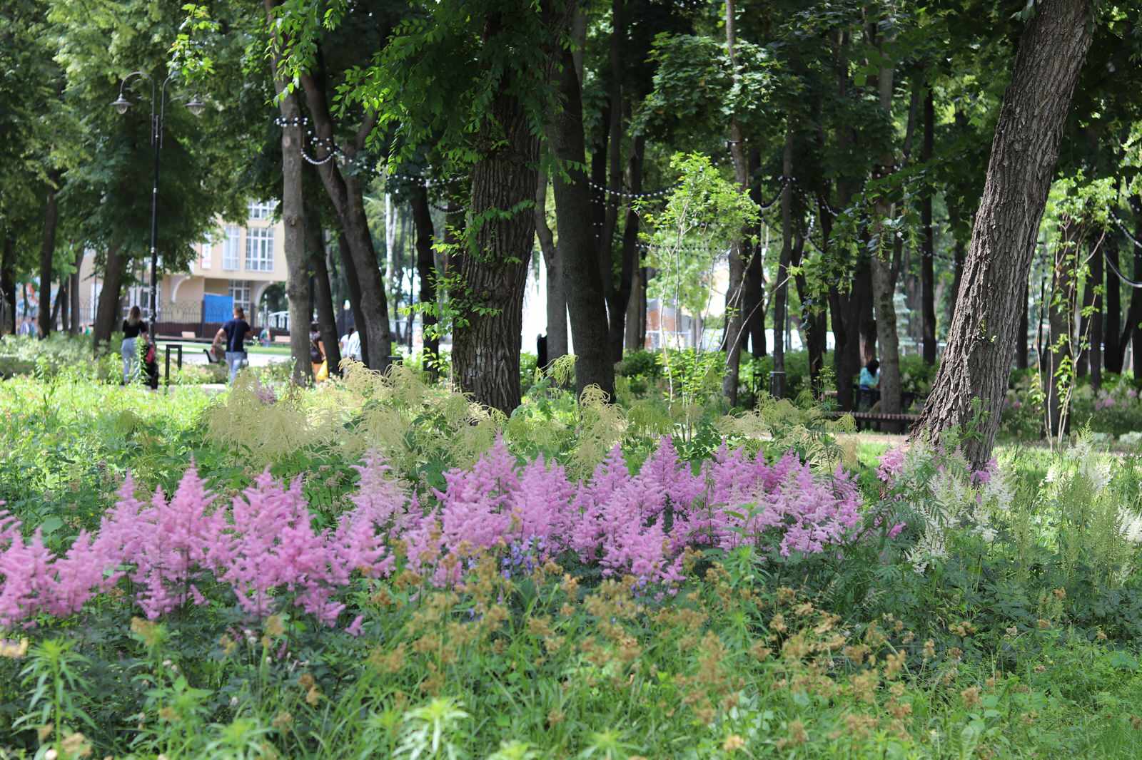 Парк Орленок