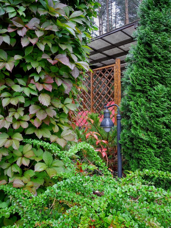 Городецкий район