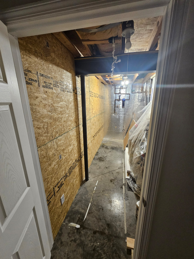 Basement Remodeling