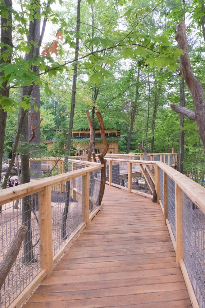 Discovery Woods