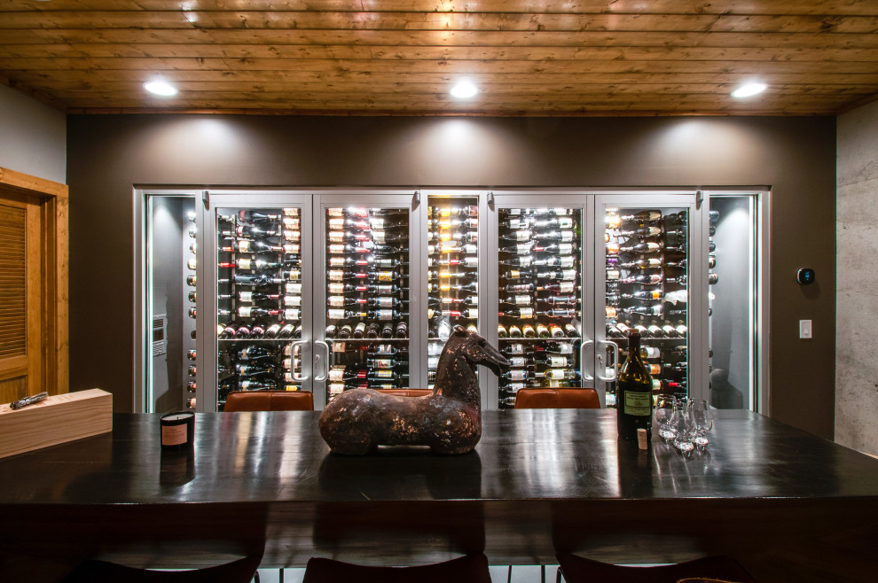 Basement contemporary wine cellar & tasting room