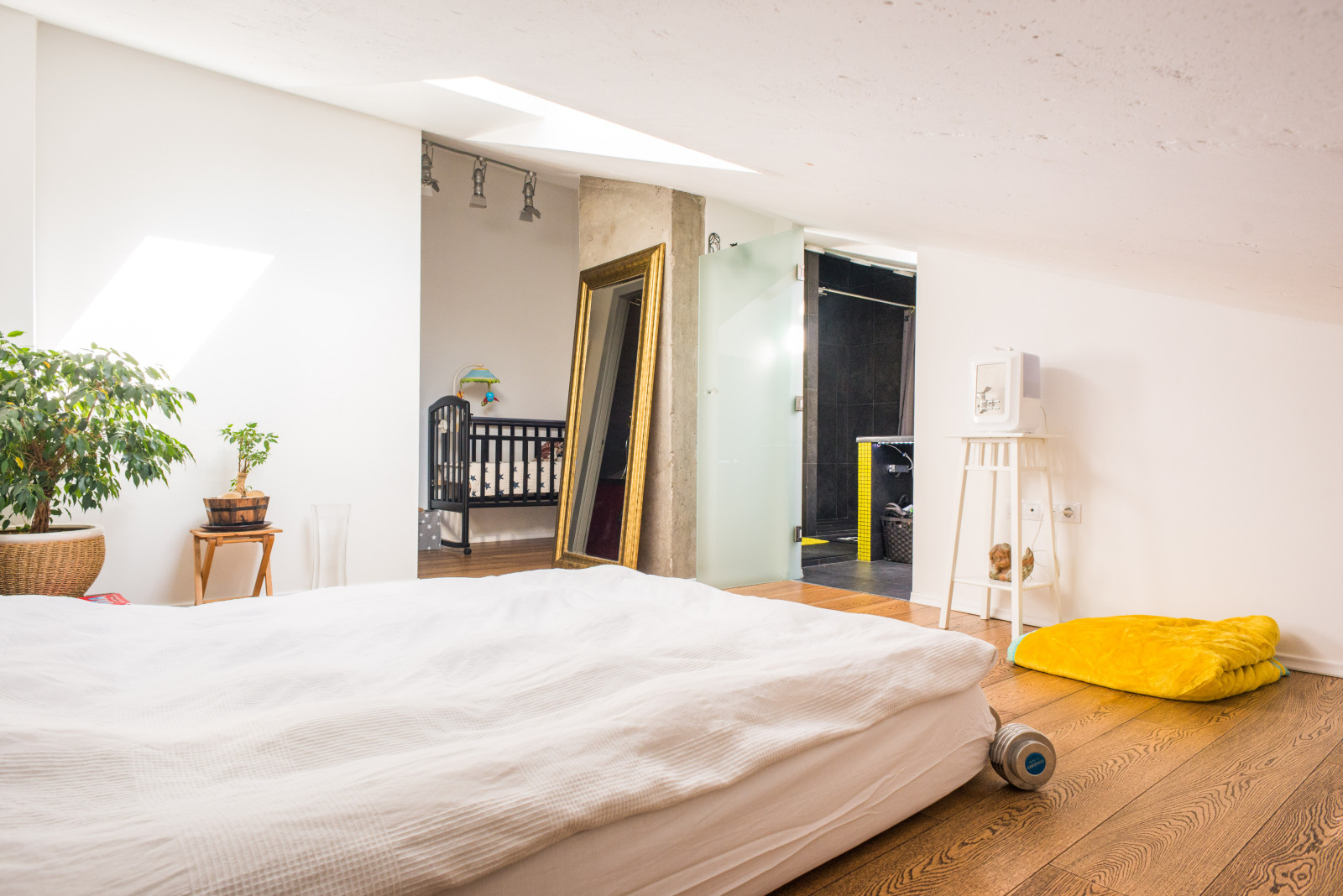 Мансарда на Дмитровке