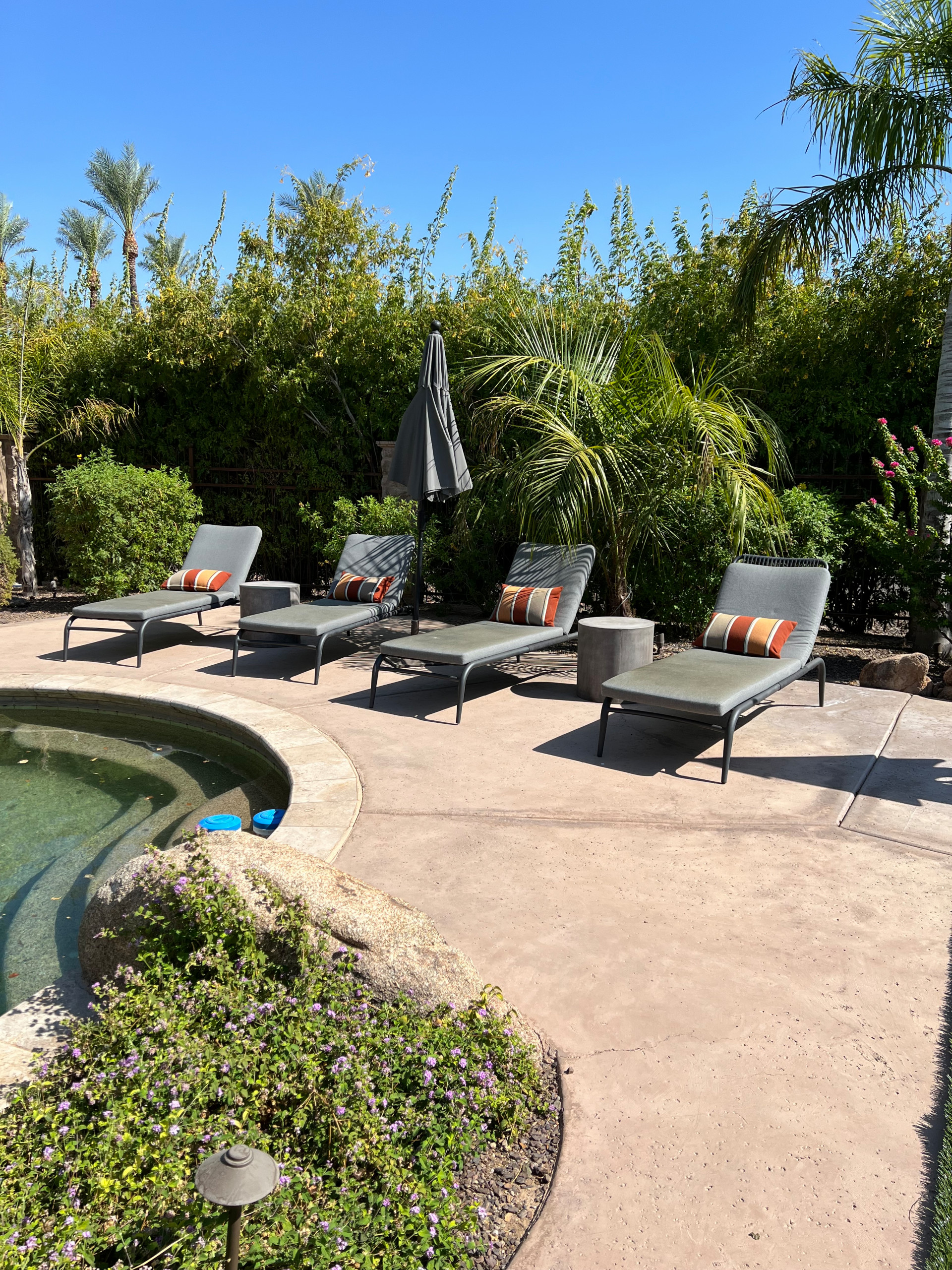Paradise Valley Update Private Oasis