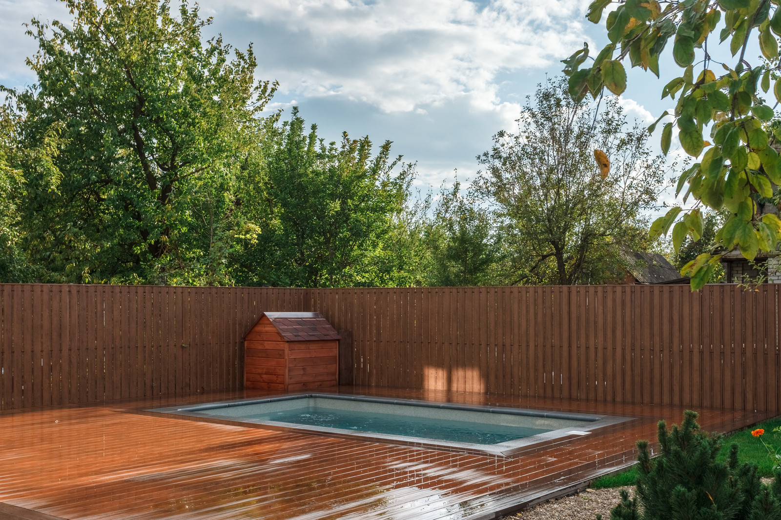 Бассейн на даче