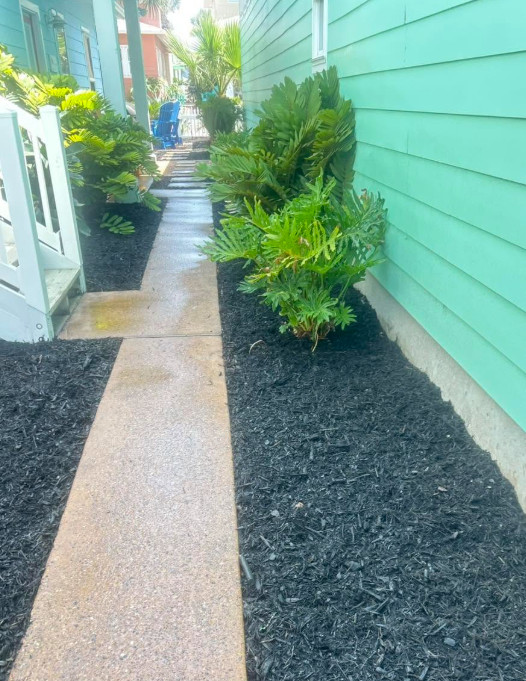 Landscape Details