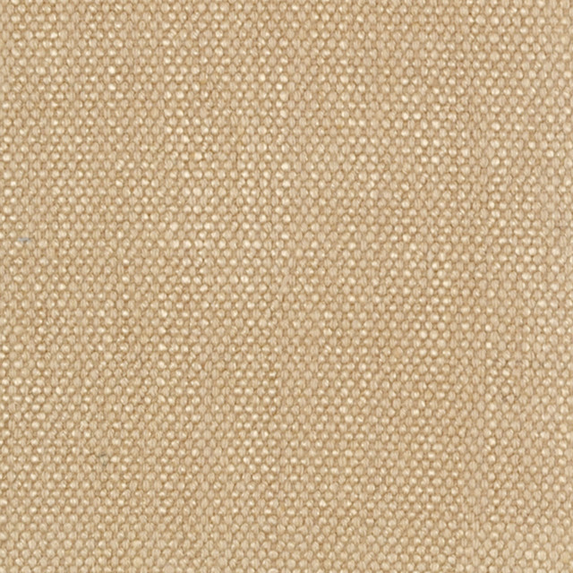 Solid - Honey Fabric