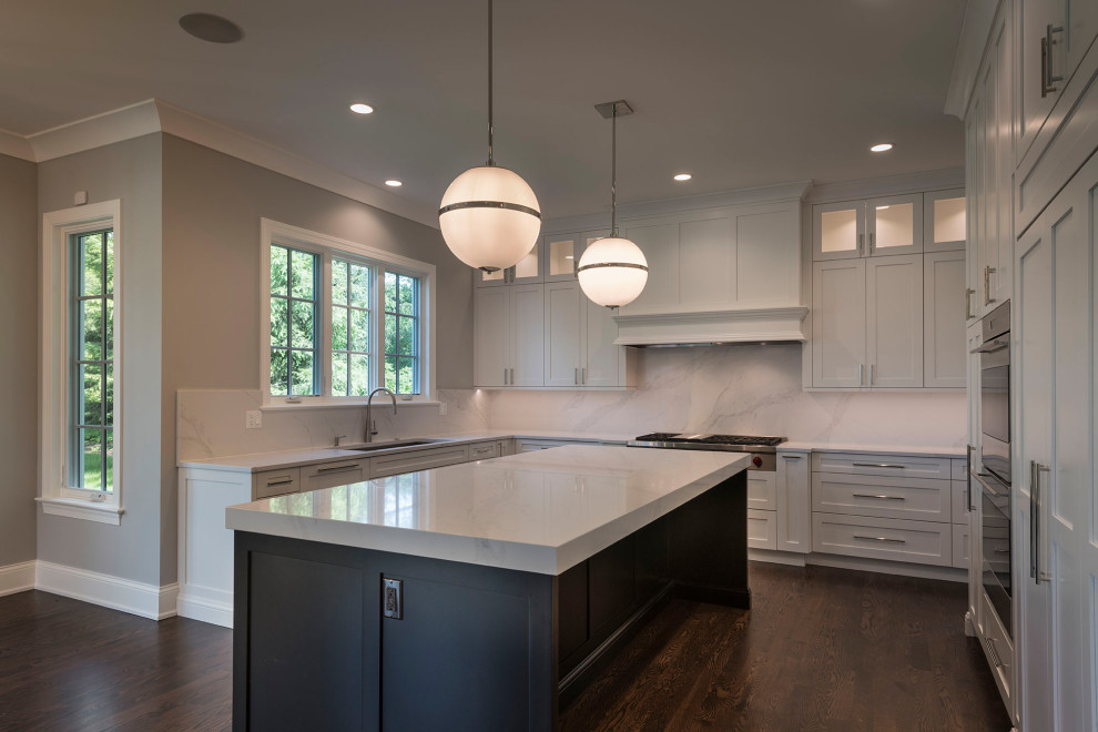 Transitional home design photo in Chicago