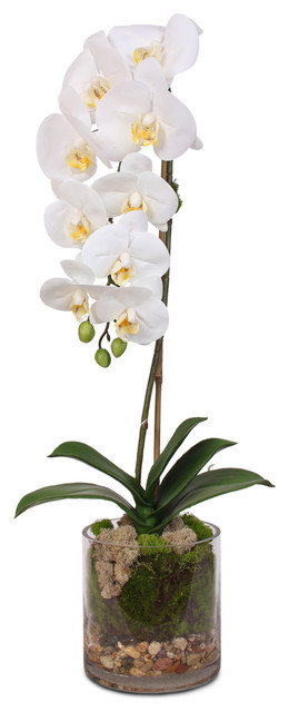 stoom Decoratief Napier Real Touch White Phalaenopsis Orchid With Sleek Glass Vase - Contemporary -  Artificial Flower Arrangements - by JENNY SILKS | Houzz