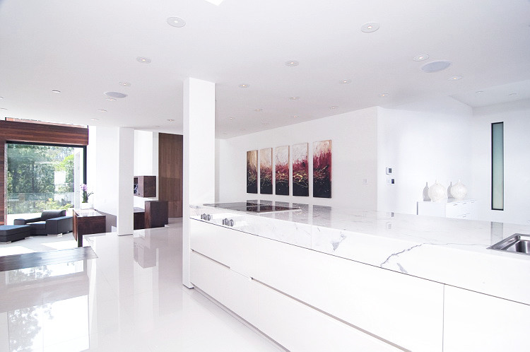 Design ideas for a modern kitchen in Los Angeles.