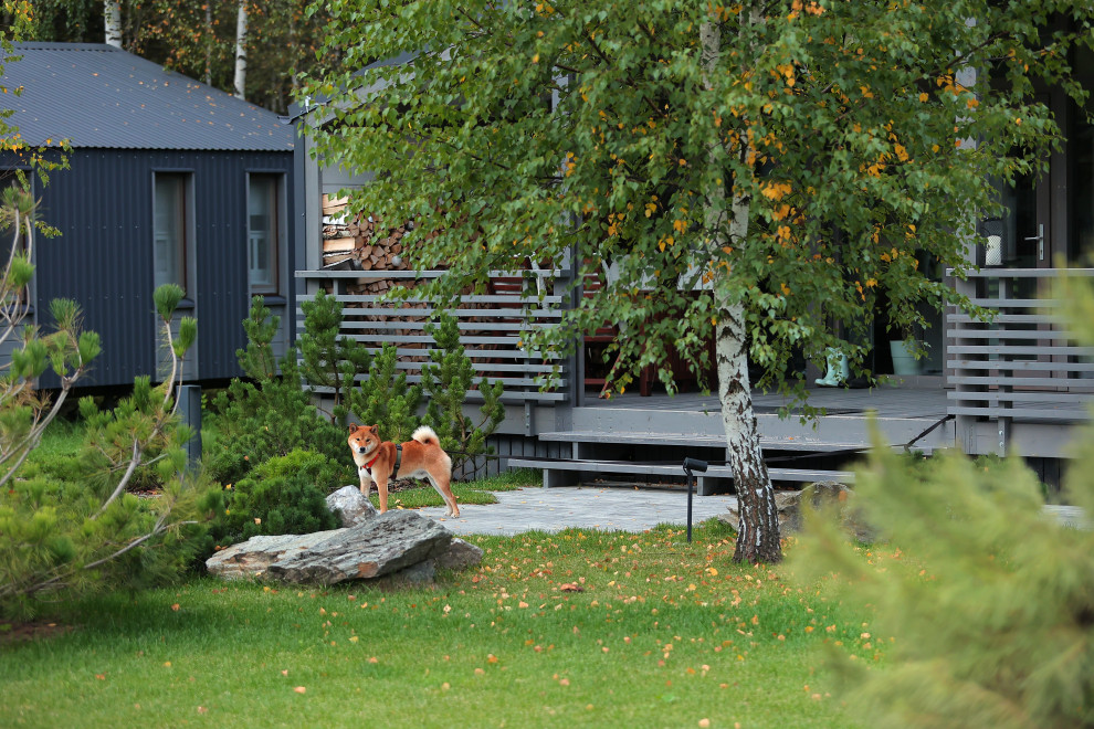 Частный сад в КП "Снегири". Осень.