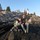 thomas_ross6112