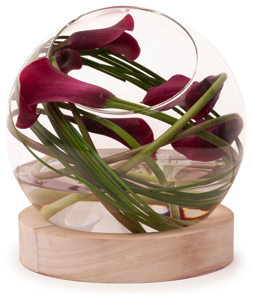 Danya B. Glass Terrarium/Vase on Wooden Stand