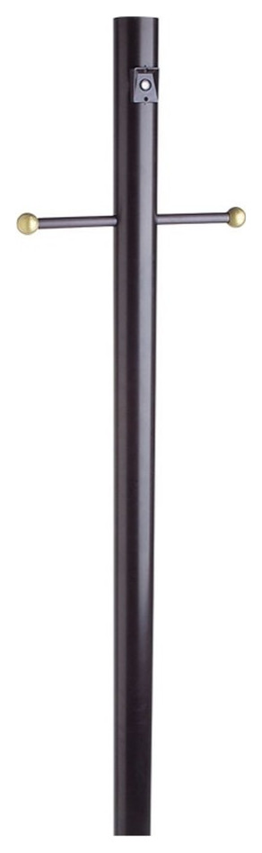 Stainless Steel Black Lamp Post with Cross Arm and Photo Eye