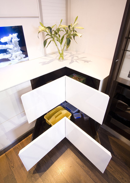 Dynamic Kitchen 2010 contemporary-kitchen