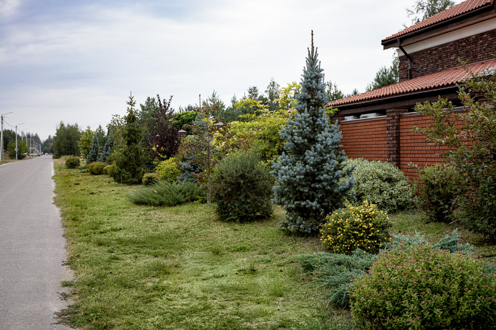 Ландшафтный дизайн. Полина Черных