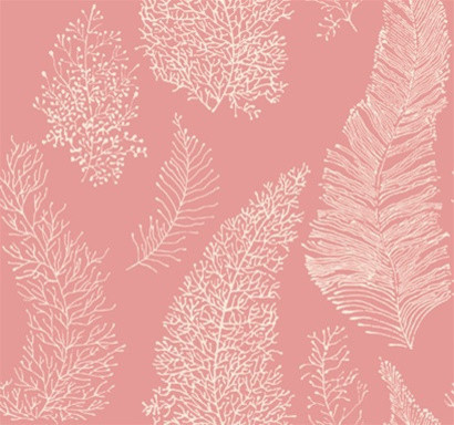 All Over Coral Spot Wallpaper