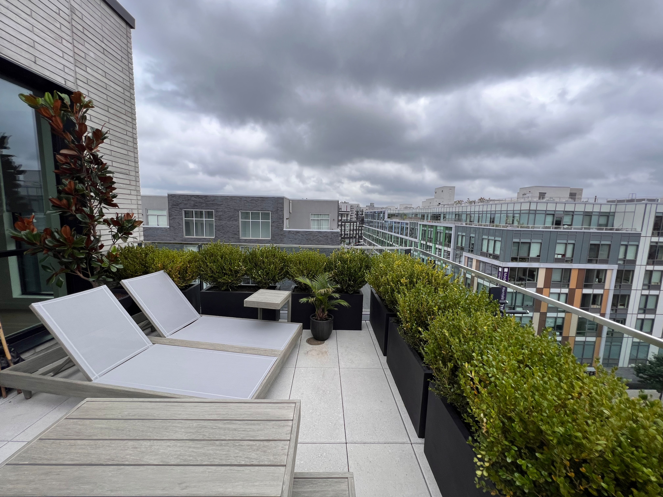 Williamsburg new terrace