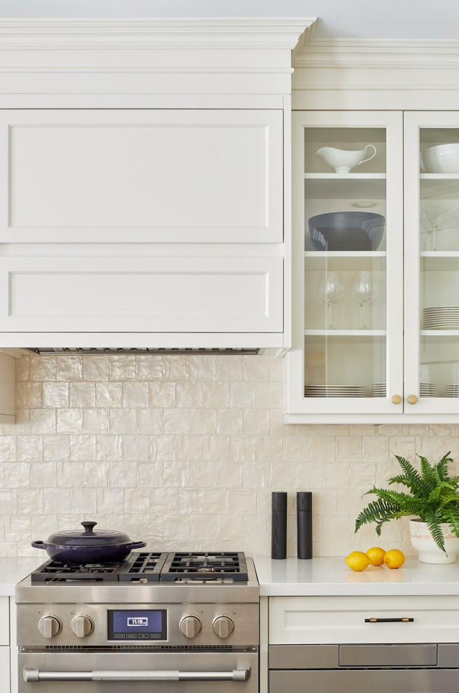 Inspiration for a transitional kitchen remodel in Toronto