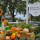 Peabody Landscape Group