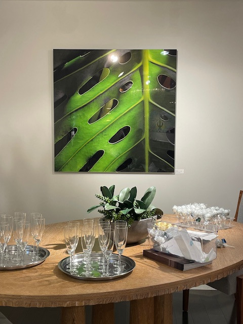 Laurel Feldman Photography