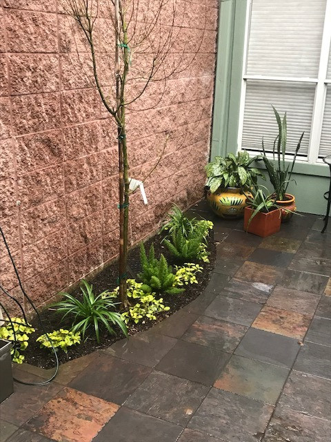 Townhome patio and walk space