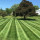 Lawn and Land Solutions