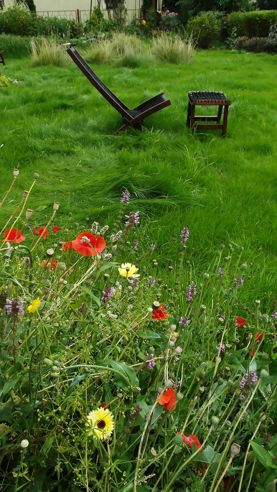 Цветники в природном стиле