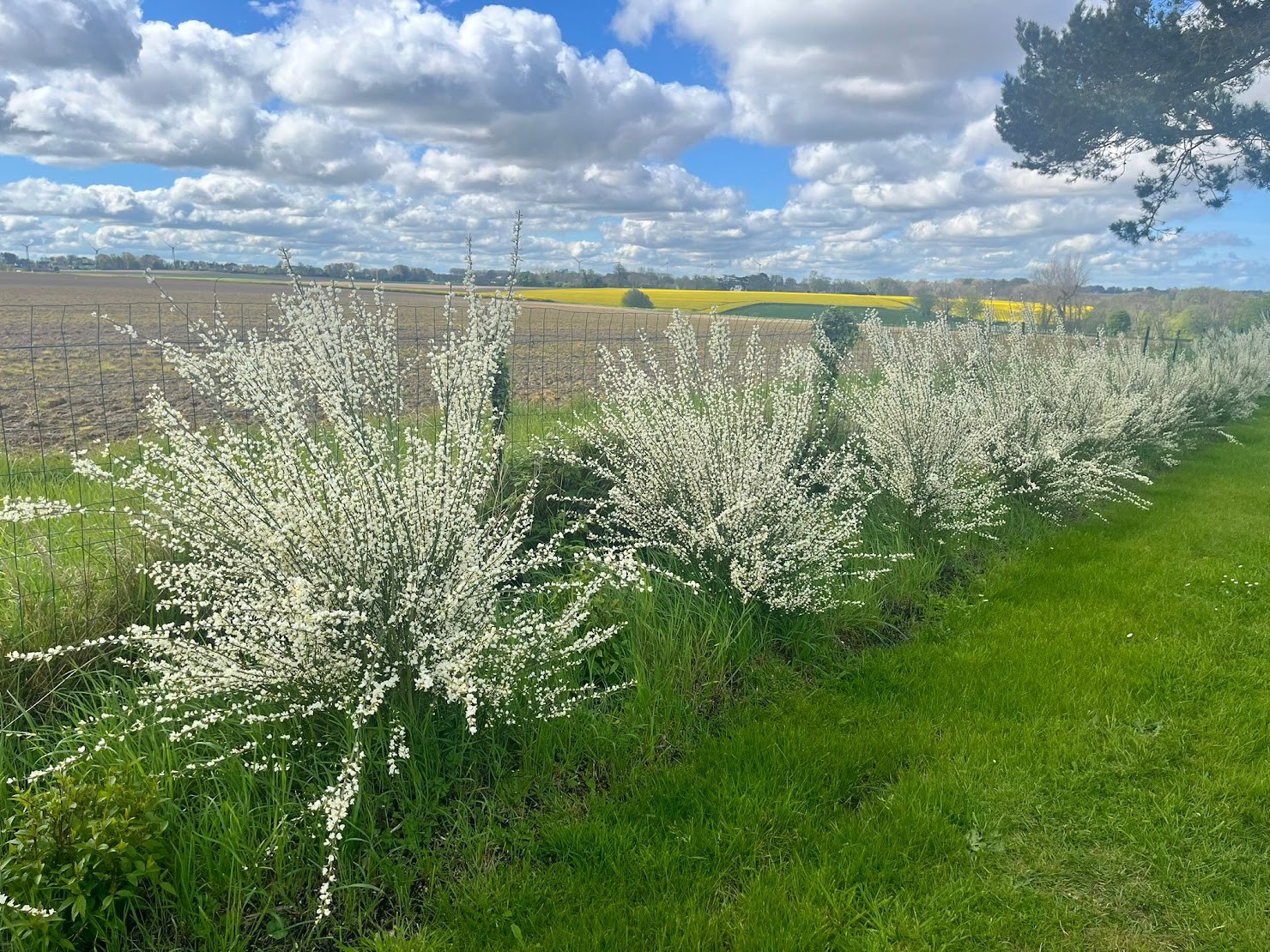Mettre en valeur la vue dégagée sur la campagne - 2024
