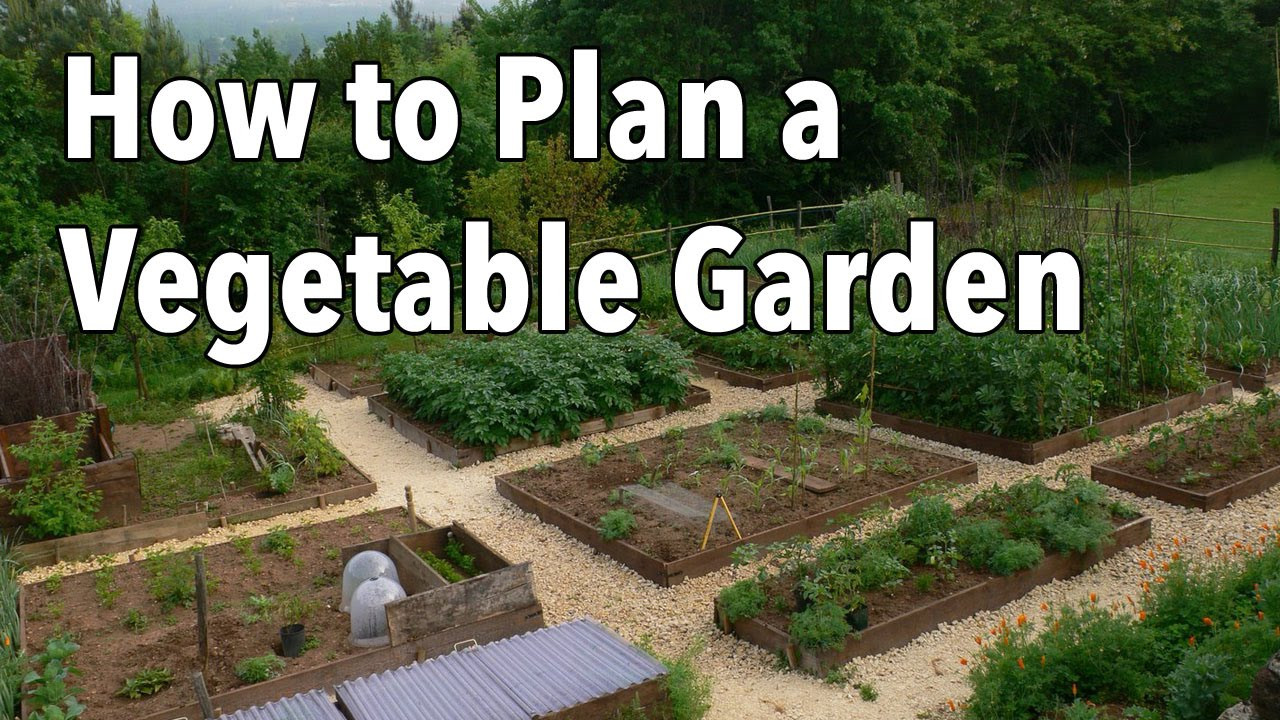 How to Plan a Vegetable Garden with Peter Atkins and Associates