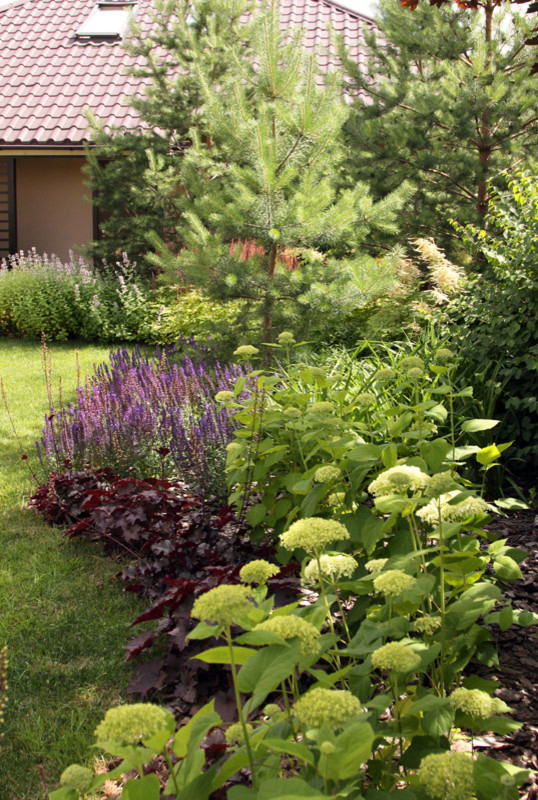 Современный сад