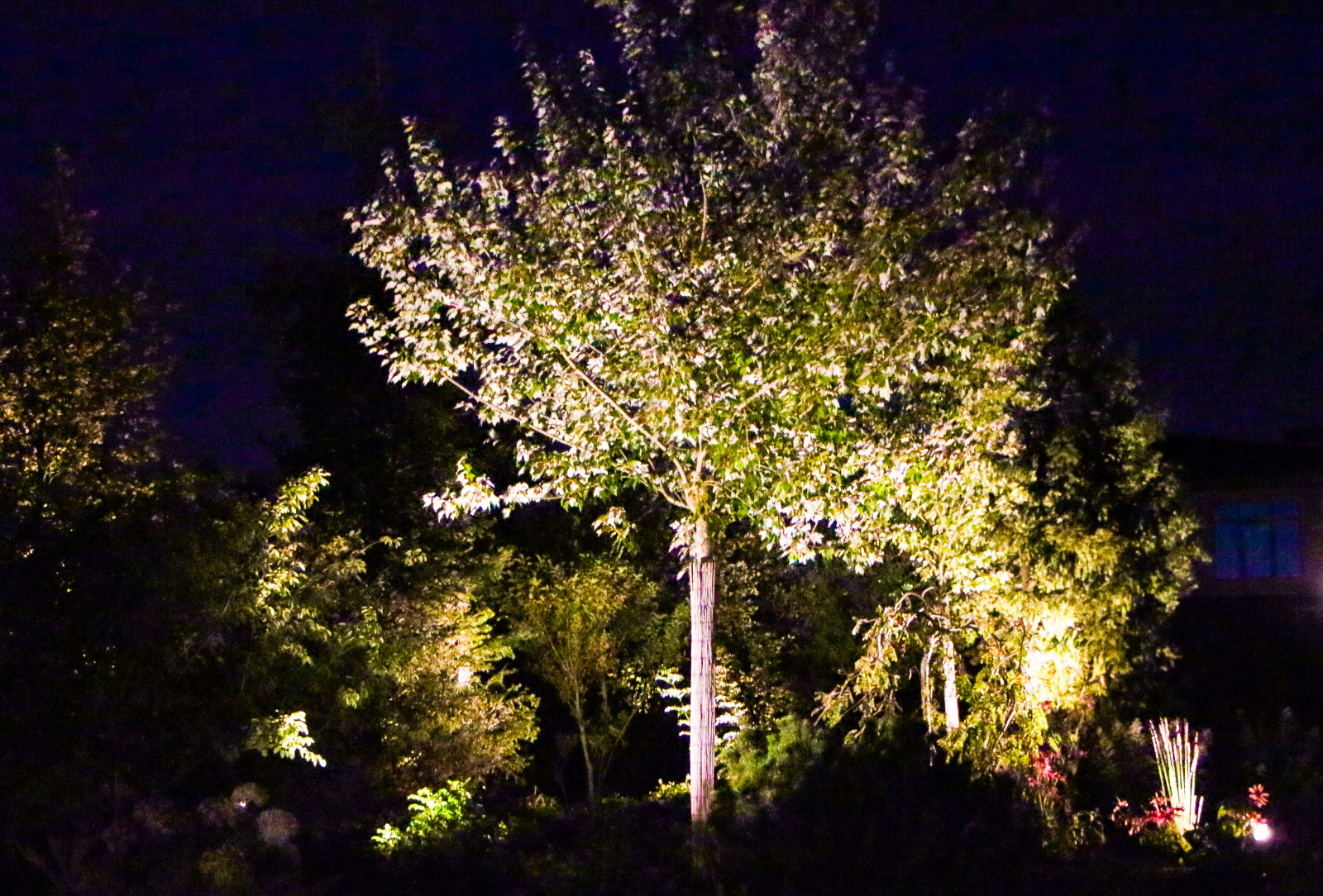 Горки-10, ночной сад, 2017-2020 гг.