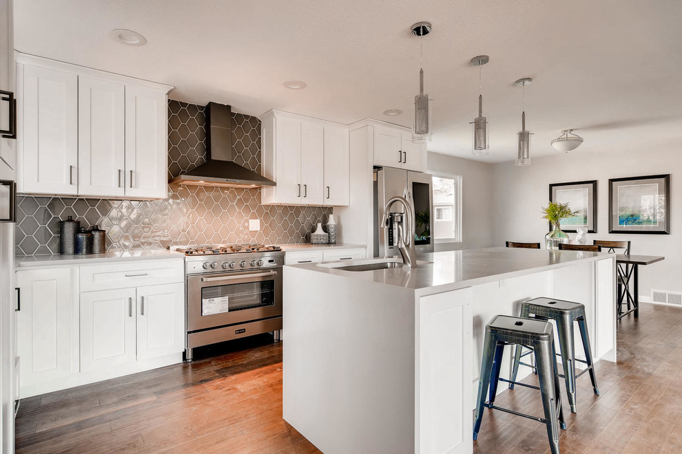Kitchen - transitional kitchen idea in Denver