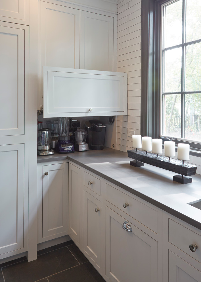 Home design - transitional home design idea in Chicago