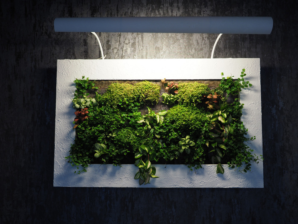 Москва Сити