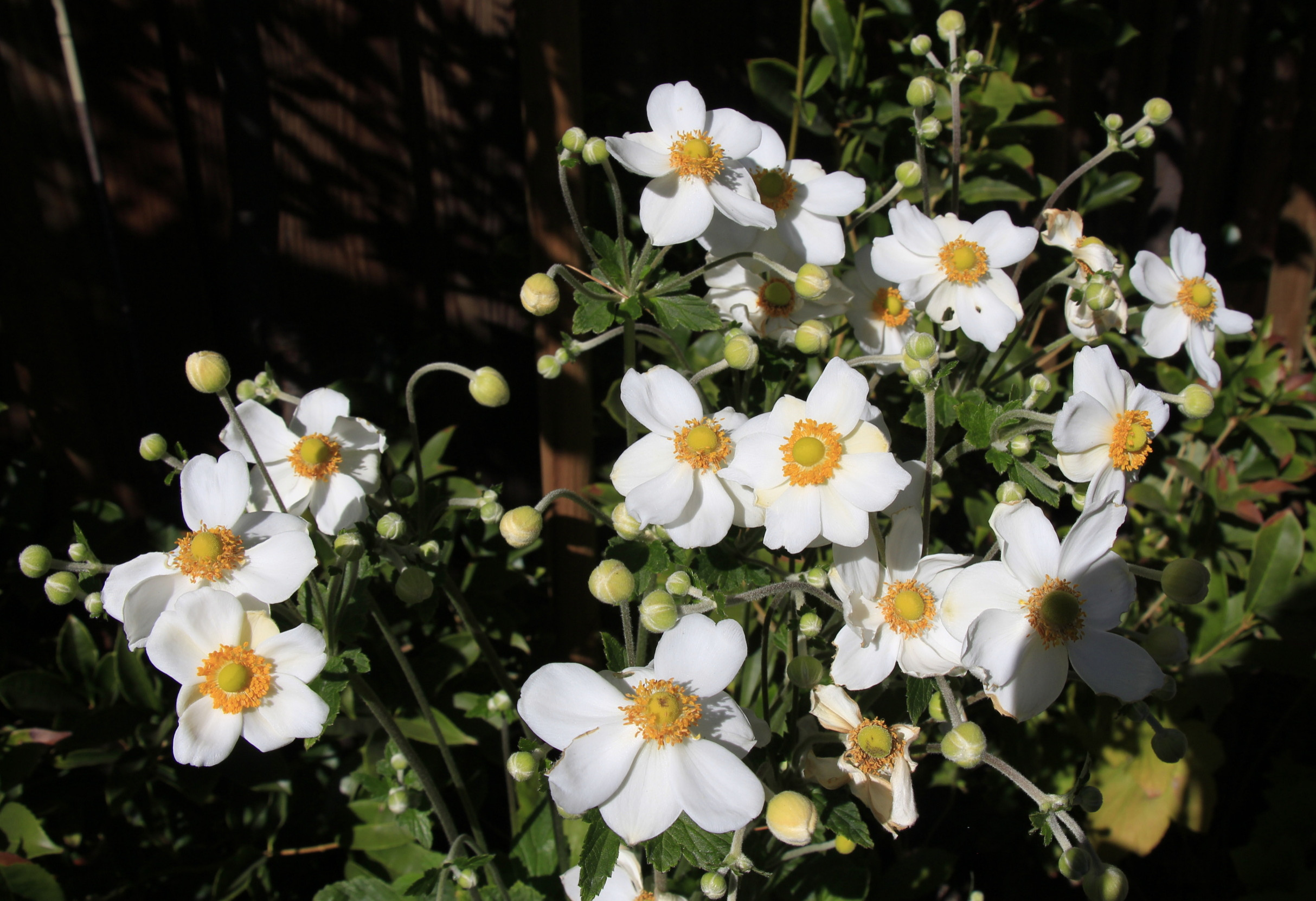 Minimalistic approach