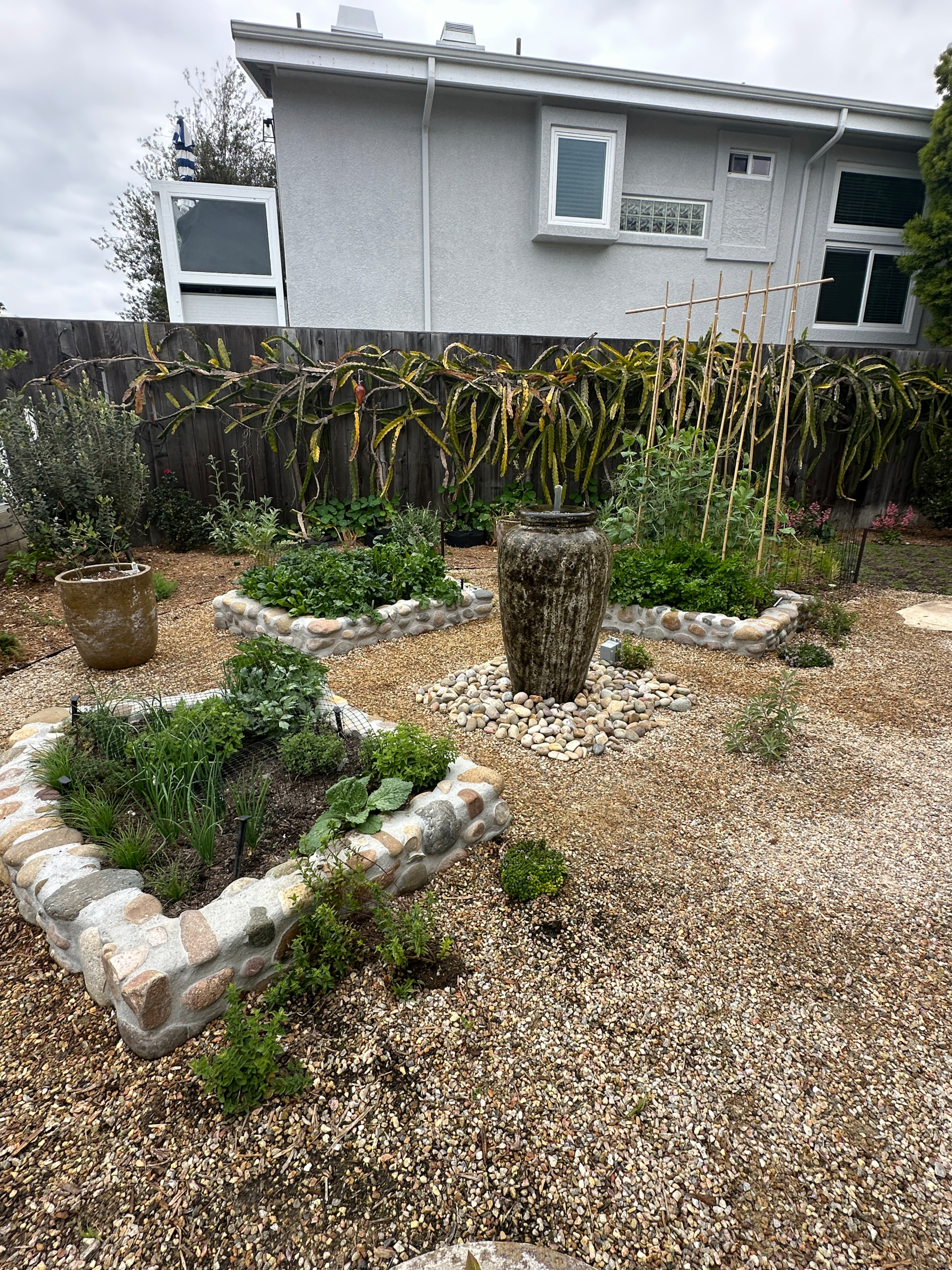 Naturalistic Drought-Tolerant Potager Garden