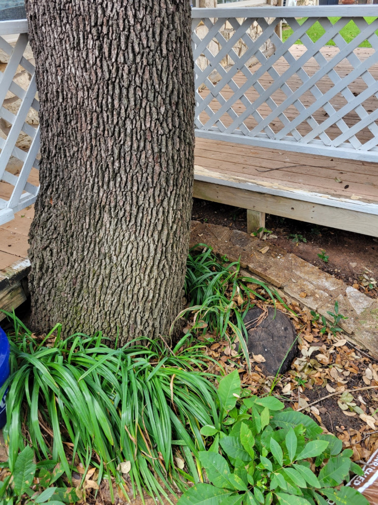 Deck Remodel