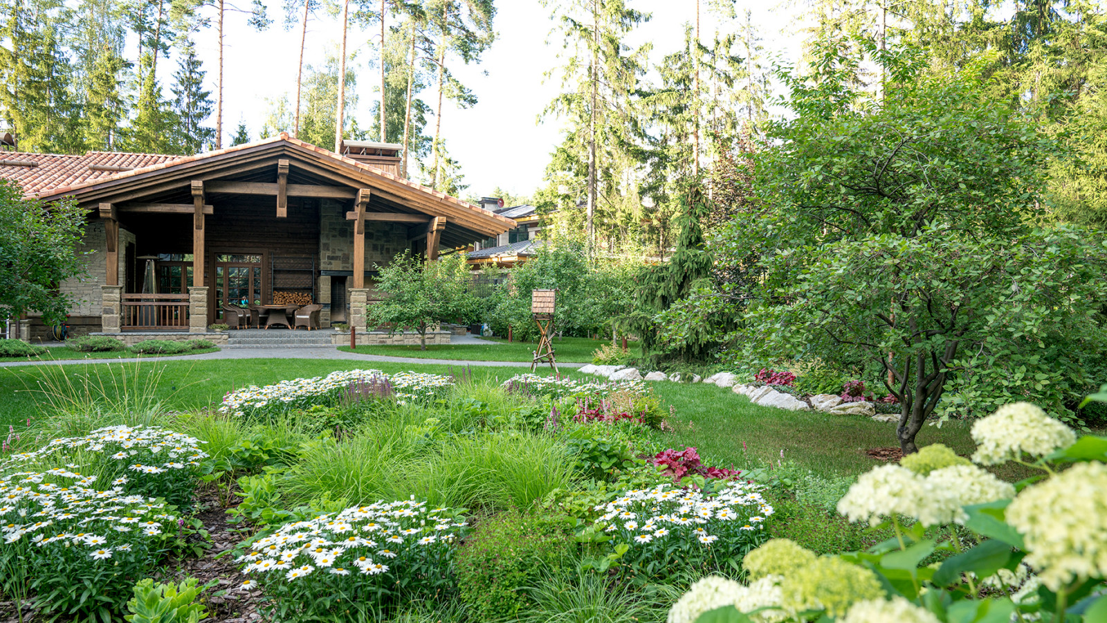 Мечта об Альпах. КП "Вымпел", Новорижское шоссе. 2017 г.