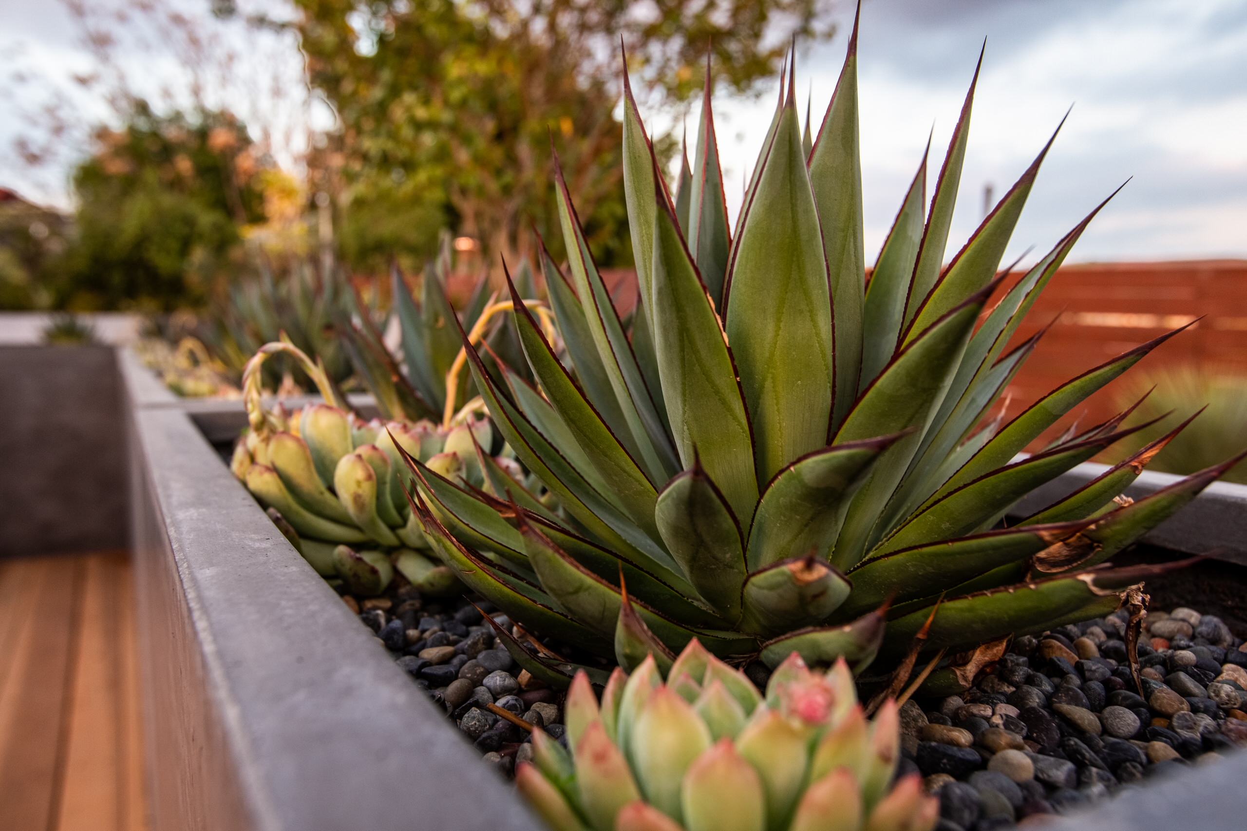 Low-Maintenance Modern Landscape Retaining Walls