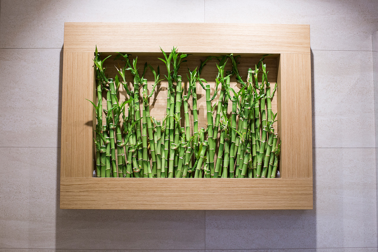 Царица Лесных Озер