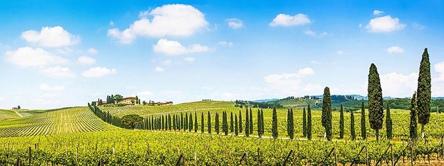 Tuscany Italy Vineyard Panorama Wall Mural Self Adhesive Wallpaper Contemporary Decals Tuscany Italy Vineyard Panorama Wall Mural Self Adhesive Wallpaper Contemporary Decals