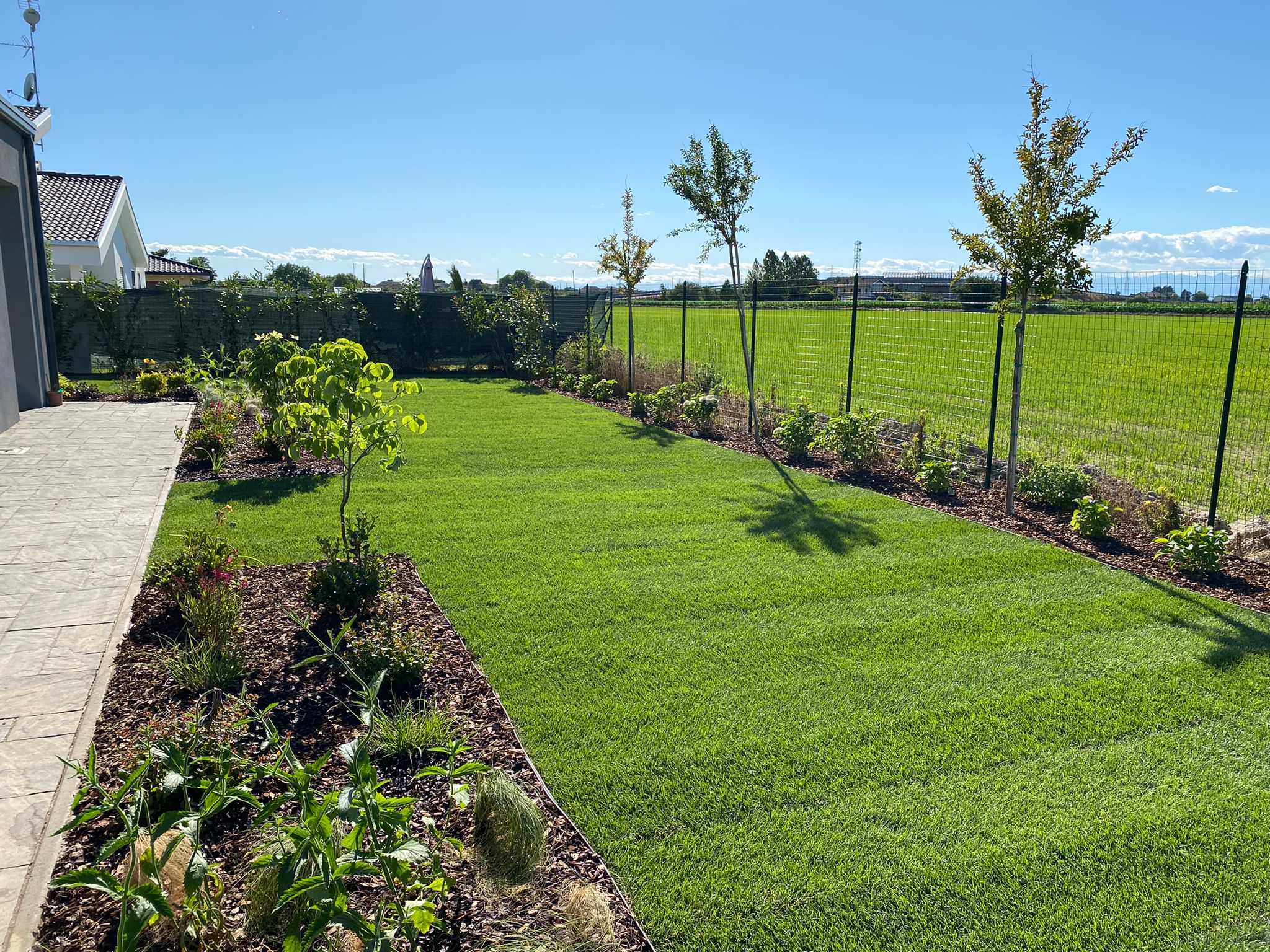Realizzazione Giardino per villa moderna