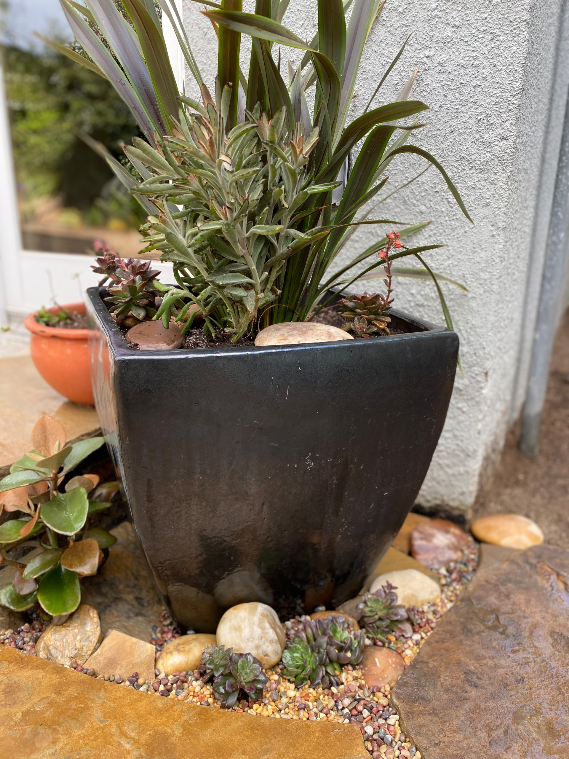Hermosa Beach: Pollinator Garden