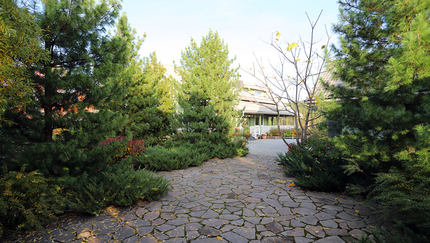 Полынный берег. Новые снимки