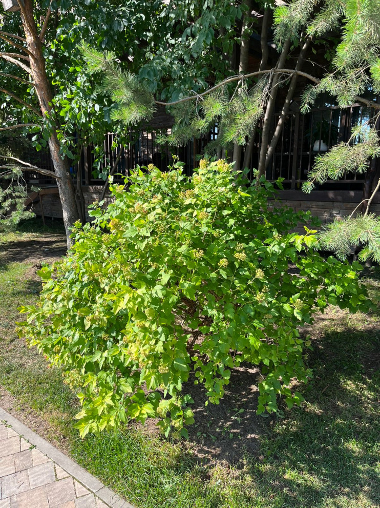 Обрезка растений ЖК Сказка